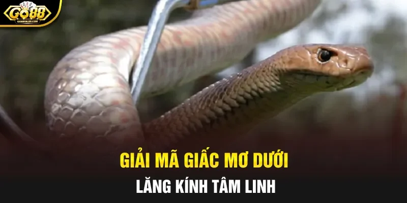 Giải mã giấc mơ dưới lăng kính tâm linh